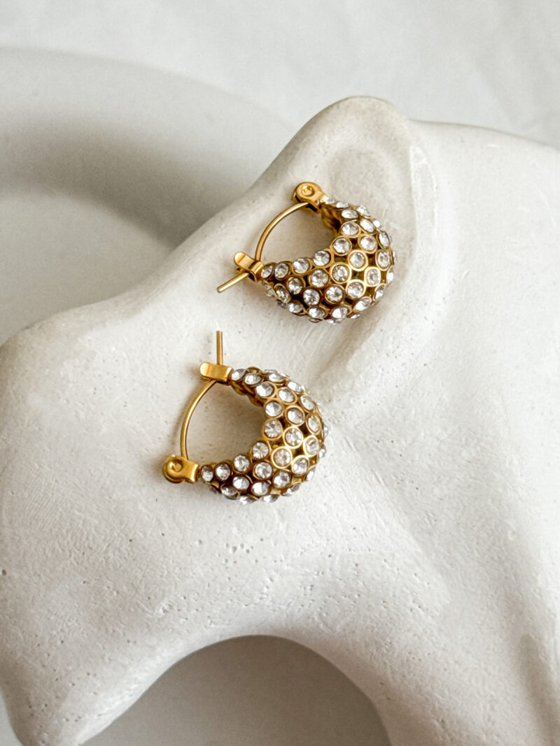 Ardent Earrings